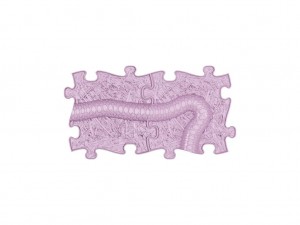 set-snake-extended-lilac-1