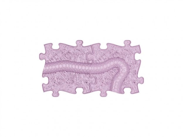 set-snake-extended-lilac-1