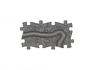 set-snake-extended-lilac-3